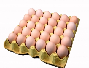 蛋类食品包装机-鸡蛋包装机-热收缩膜包装机