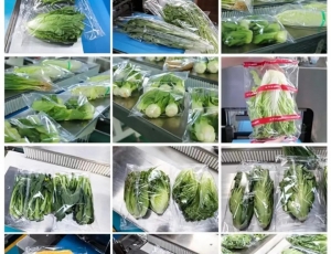 蔬菜水果枕式包装机